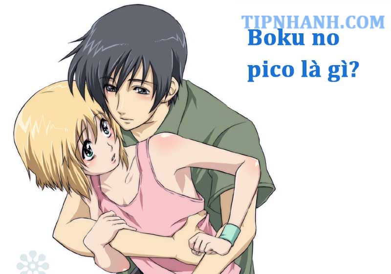 Boku no pico là gì Nội dung phim Boku no pico có gì đặc biệt